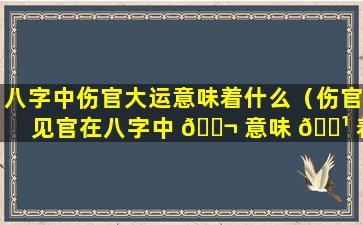 八字中伤官大运意味着什么（伤官见官在八字中 🐬 意味 🌹 着什么）